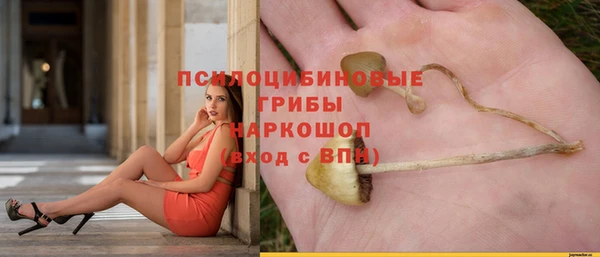 ешки Аркадак